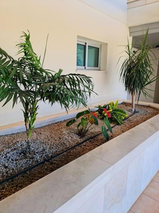 Homely Apt In Modern Building With Pool San Miguel de Abona Exterior photo